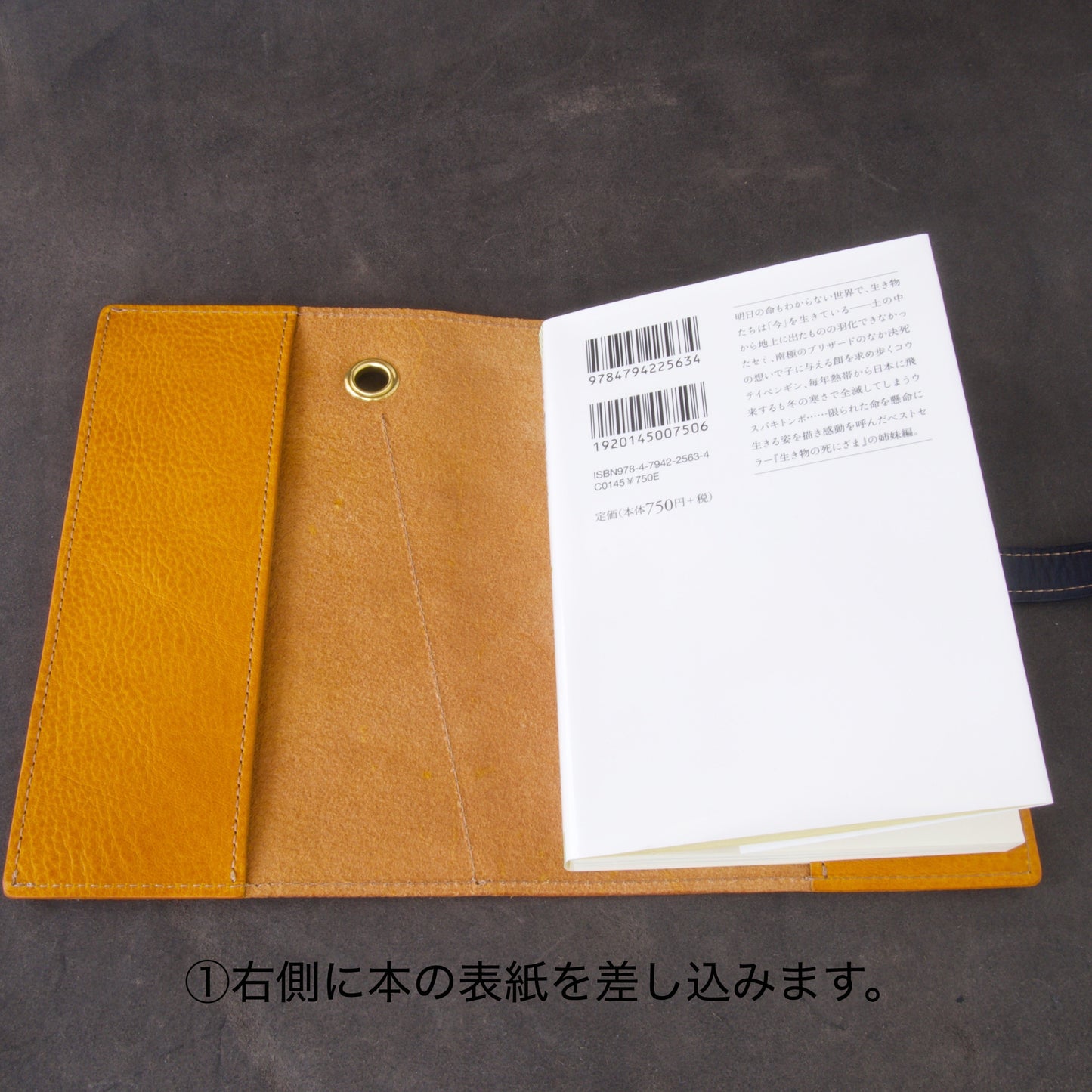 『吾輩はケロである』