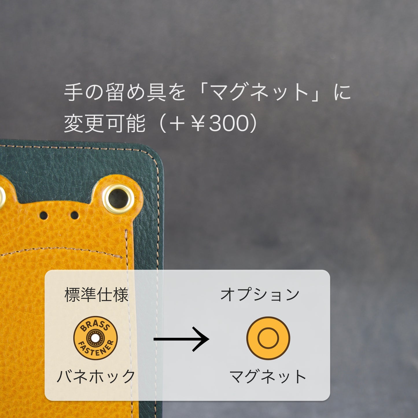 『ケロPhone』カエルと雨　