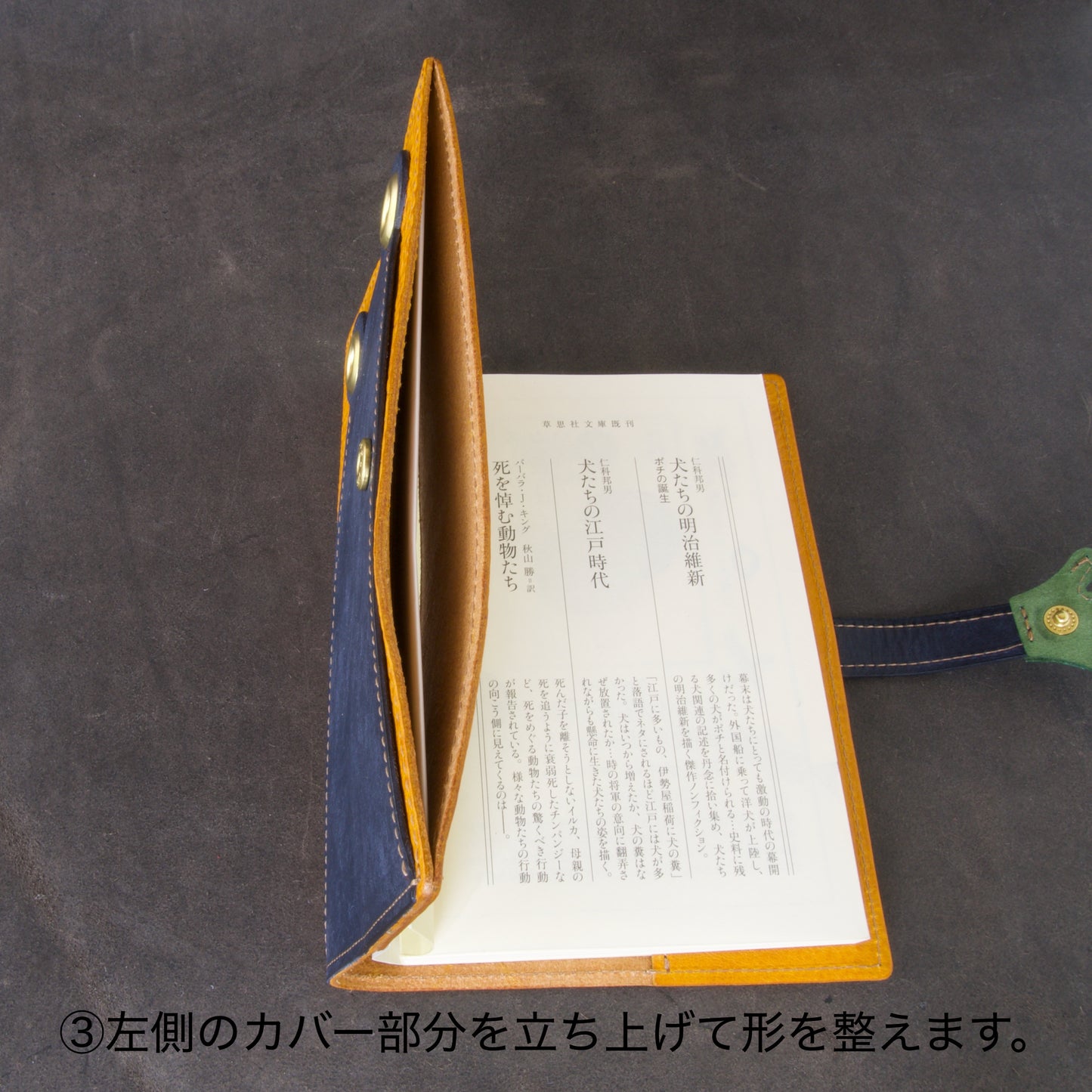 『吾輩はケロである』