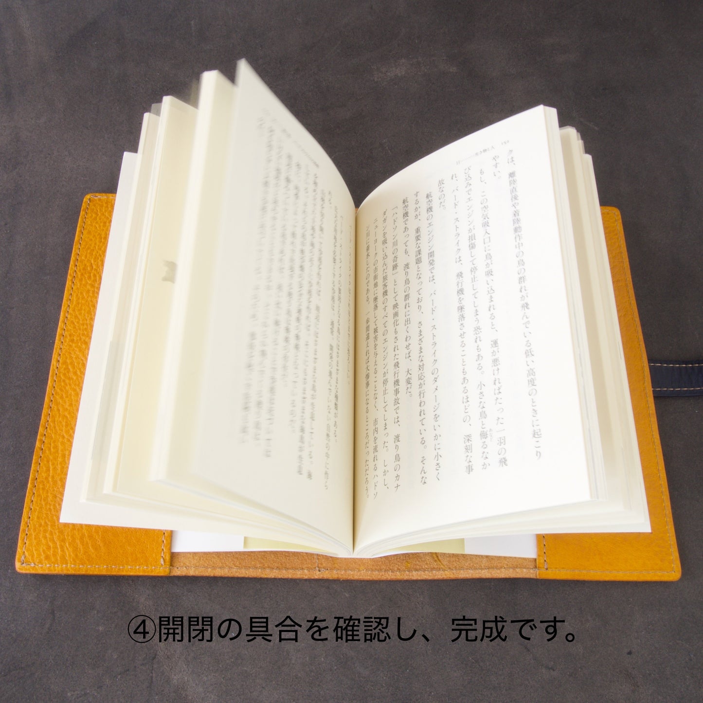 『吾輩はケロである』