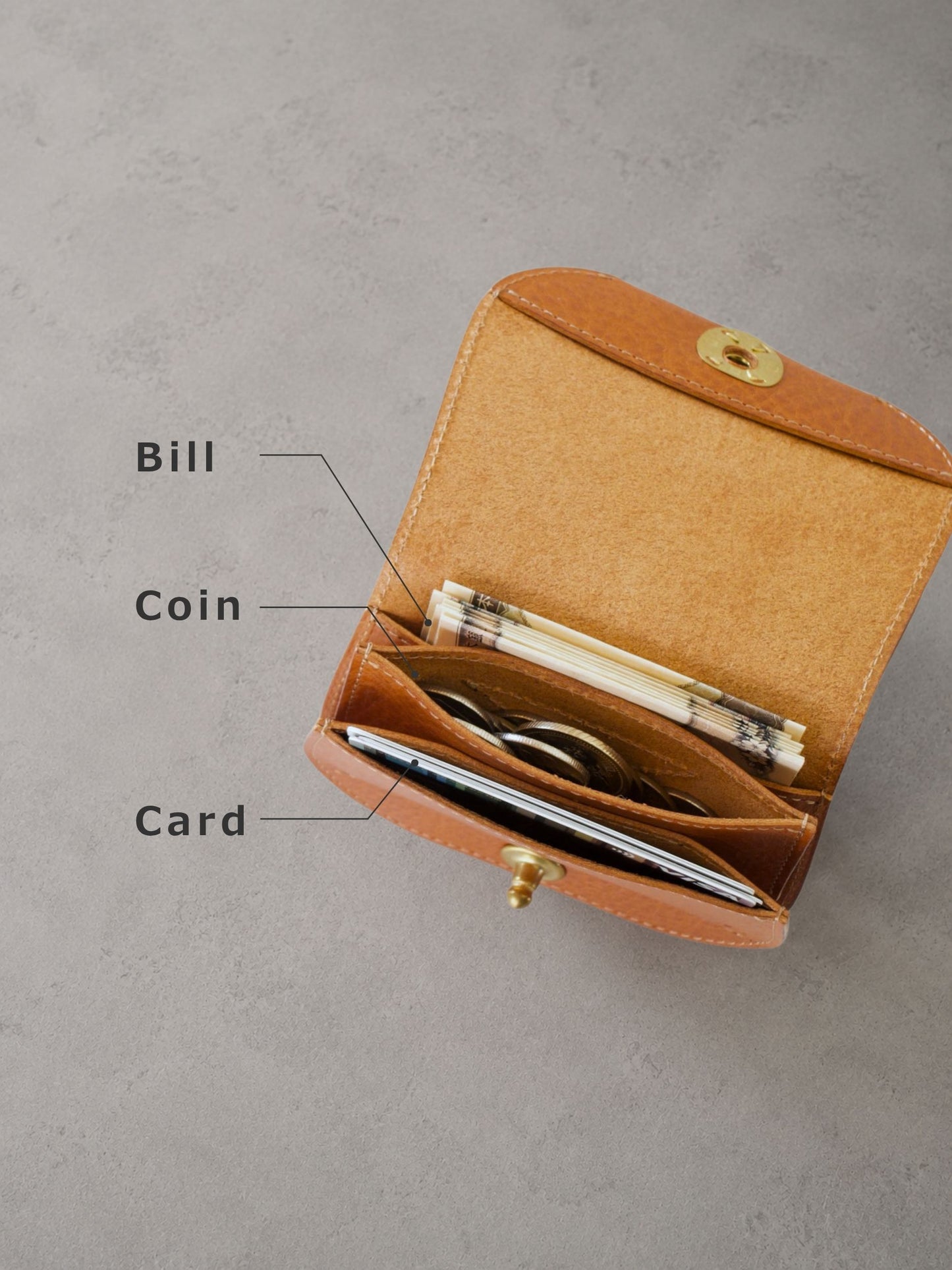 Turtle Stud Mini Wallet